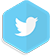 twitter button