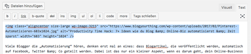 How To: So versteckst du ein für Pinterest optimiertes Bild - HTML Code des Bildes suchen